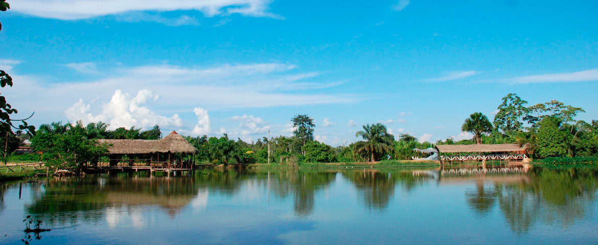 Pucallpa Culturas Vivas
