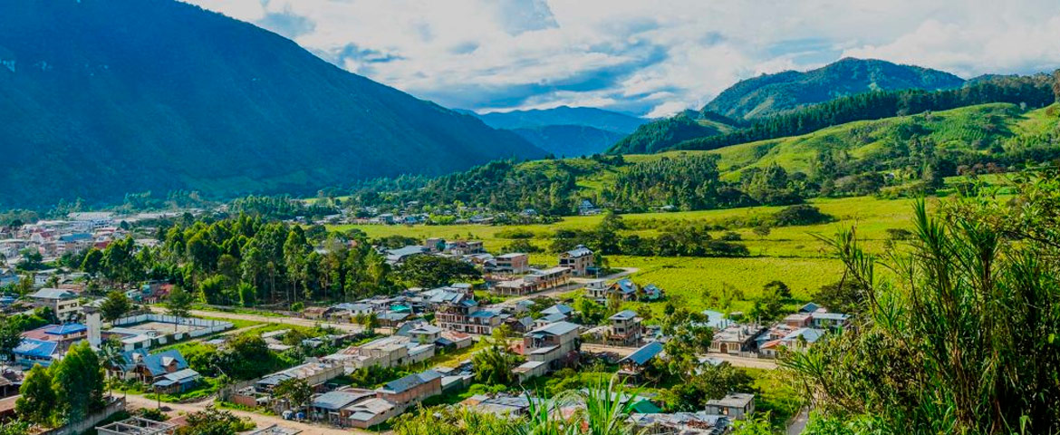 Selva Central Fabuloso